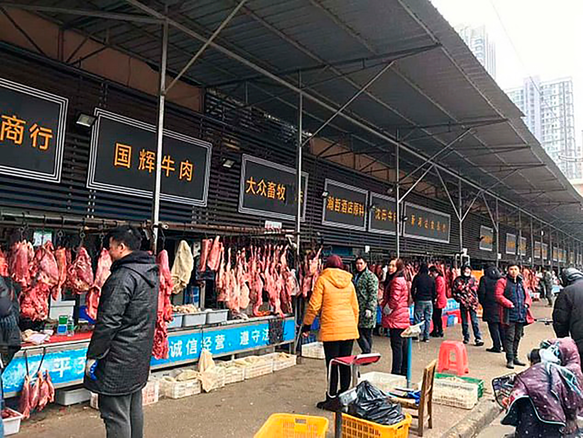Alarma en China, tras brote de CoronaVirus en un mercado mayorista