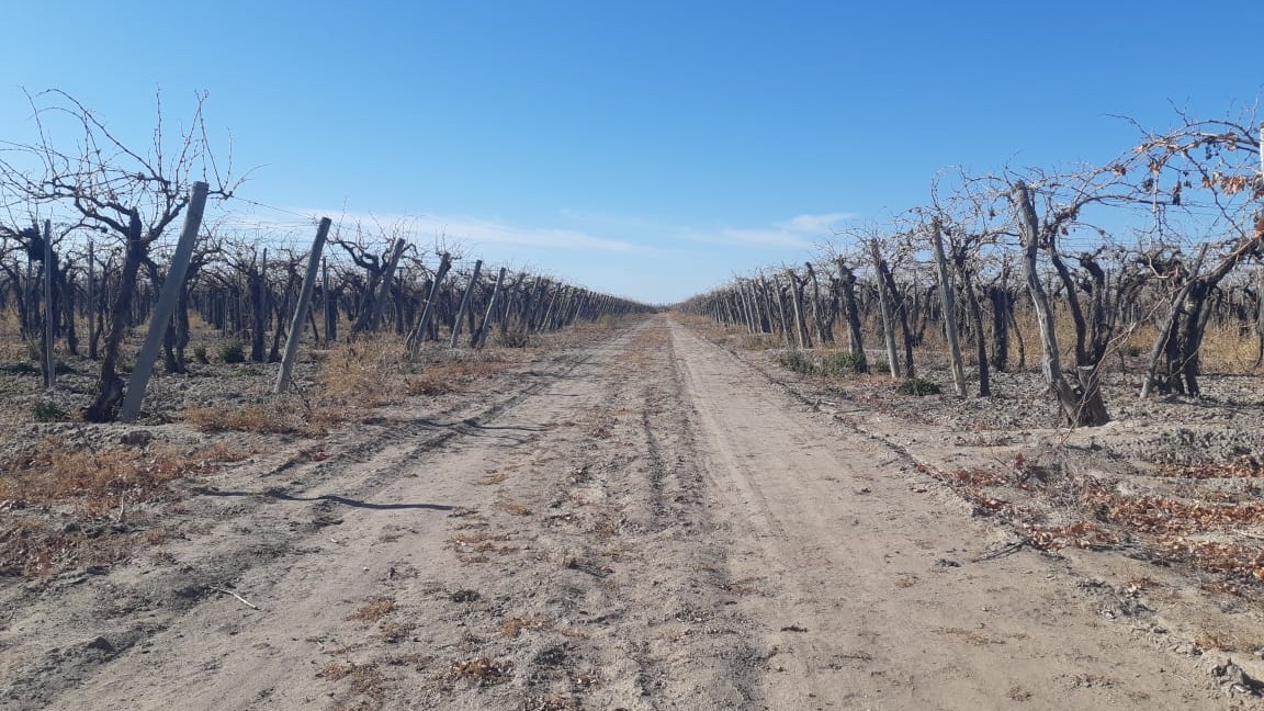 RIVADAVIA BAJO CERO