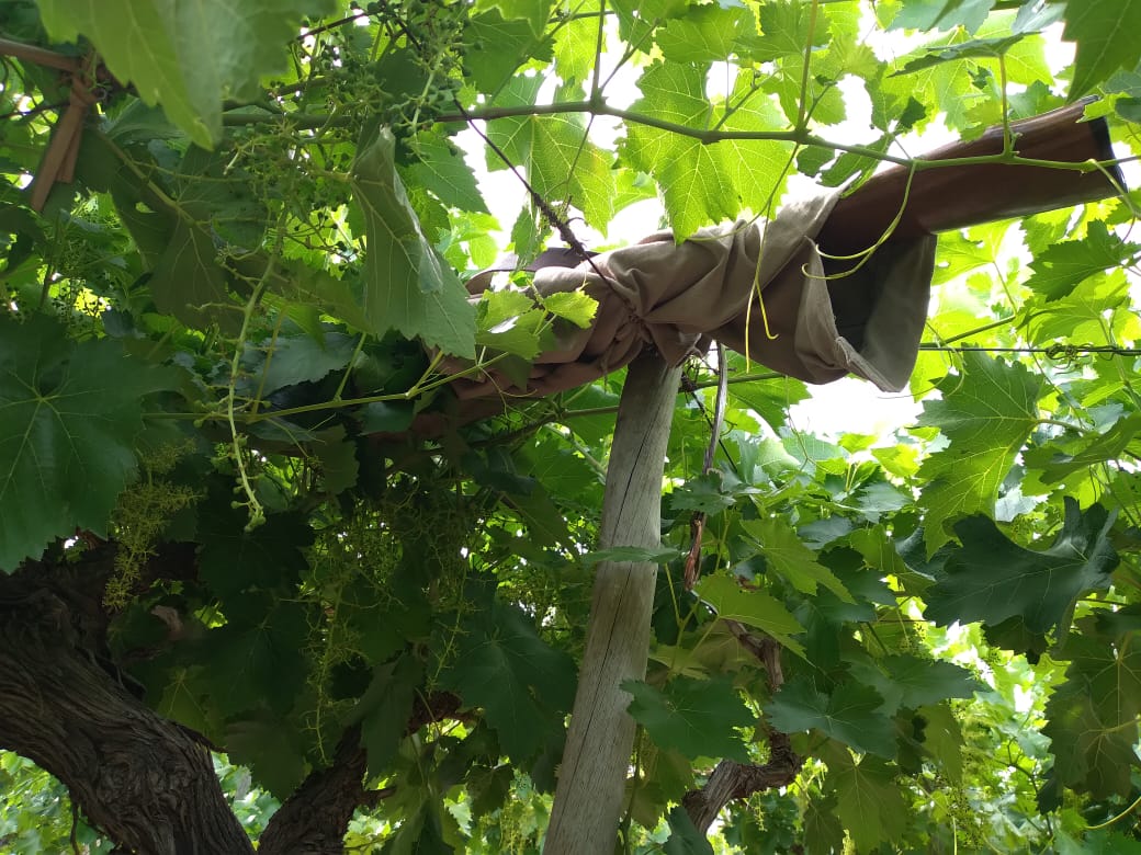 ENTRADERA Y ROBO EN MEDRANO, DOS DELINCUENTES APREHENDIDOS