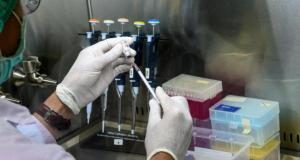 INVESTIGADORES DE LA UBA REDUJERON UN 81 POR CIENTO EL RIESGO DE MUERTE A PARTIR DE UNA DROGA