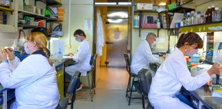 CIENTÍFICOS ARGENTINOS AVANZAN EN UNA VACUNA DE SEGUNDA GENERACIÓN CONTRA EL CORONAVIRUS