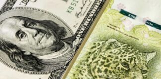 DIRECTOR DEL BANCO NACIÓN PROPUSO CREAR UNA MONEDA QUE NO SEA CONVERTIBLE AL DÓLAR