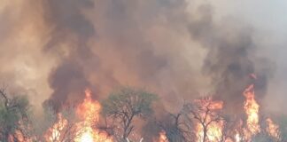 UN MUERTO Y UN HERIDO GRAVE EN INCENDIOS EN CÓRDOBA