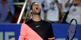 JUAN MARTÍN DEL POTRO VUELVE A JUGAR