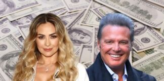 EL MILLONARIO PAGO QUE ARACELY ARÁMBULA EXIGE A LUIS MIGUEL POR LA PENSIÓN DE SUS HIJOS