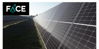 RENOVAMOS LAS ENERGÍAS PARA SER MÁS SUSTENTABLES