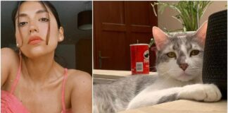 EL GOBIERNO BOLIVIANO LLAMÓ A UNA MÉDIUM PARA ENCONTRAR UN GATO PERDIDO