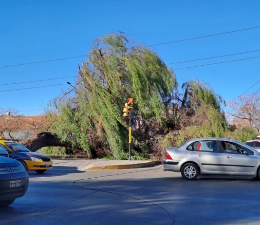 VIENTO ZONDA: DAÑOS EN ZONA ESTE POR EL FENÓMENO METEOROLÓGICO