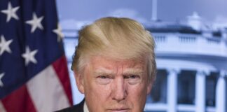 DONALD TRUMP FELICITA A MILEI POR LA VICTORIA