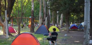 DOMINGO INOLVIDABLE EN EL PINAR DE JUNÍN