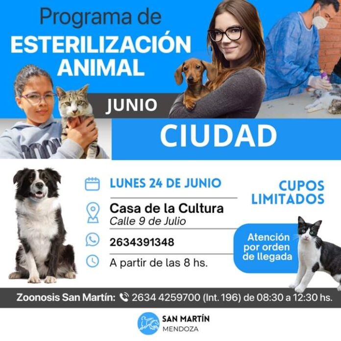 FB_IMG_1719082824881