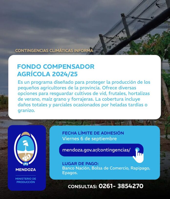 Imagen de WhatsApp 2024-09-04 a las 21.41.43_7db2f5d6