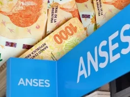 ANSES ANUNCIÓ AUMENTOS DE MILEI PARA OCTUBRE