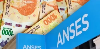 ANSES ANUNCIÓ AUMENTOS DE MILEI PARA OCTUBRE