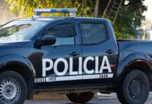 BRUTAL CASO DE ABIGEATO EN SAN MARTÍN: ROBARON Y FAENARON DOS EQUINOS EN UNA FINCA