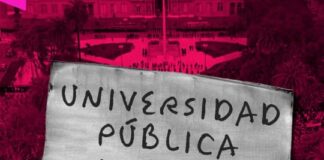 UNIVERSIDAD PÚBLICA: ORGULLO NACIONAL Y LA POLÍTICA DE MILLEI