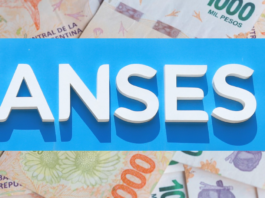 ANSES CONFIRMÓ EL AUMENTO PARA JUBILADOS, AUH Y AUE EN NOVIEMBRE 2024