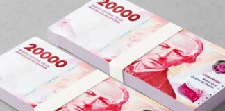 EL NUEVO BILLETE DE 20.000$ YA ESTÁ EN LOS BANCOS PARA ADAPTARLOS A LOS CAJEROS Y AL SISTEMA FINANCIERO