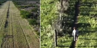 ENCONTRARON CON UN DRON A UNA NENA DE 3 AÑOS QUE ESTUVO CINCO HORAS PÉRDIDA EN UN CAMPO DE LA PAMPA