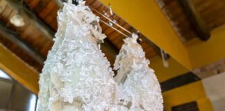 REINA MADRE: UNA HISTORIA DE ELEGANCIA Y PASIÓN FAMILIAR EN RIVADAVIA