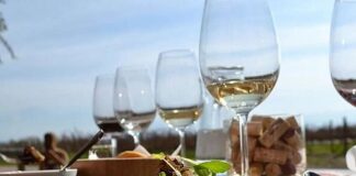 NUEVOS RESTAURANTES CON ESTRELLA MICHELIN EN ARGENTINA: MENDOZA BRILLA