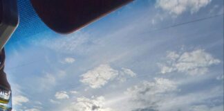 PROHIBIDO TOMAR MATE MIENTRAS SE CONDUCE: MENDOZA Y CÓRDOBA APLICARÁN MULTAS DE HASTA $420.000