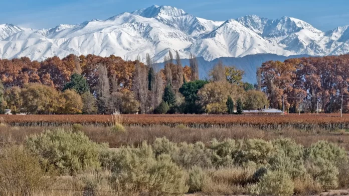 mendoza