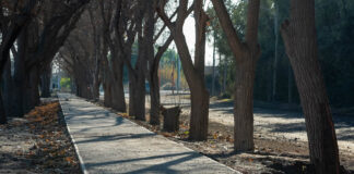 VEREDAS EN EL BARRIO JUANA AZURDUY