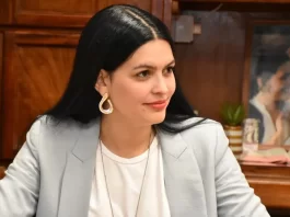 AUTONOMÍA MUNICIPAL: DE STÉFANIS RESPALDA EL DEBATE PERO MARCA LÍMITES AL PROYECTO DE CORNEJO