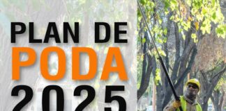 AVANZA EL PLAN DE PODA 2025 EN RIVADAVIA