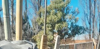 TRAGEDIA EN RIVADAVIA: UNA MUJER MURIÓ TRAS CHOCAR CONTRA UN POSTE EN SANTA MARÍA DE ORO