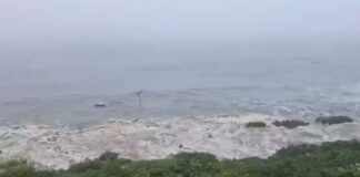 ALERTA DE TSUNAMI EN LA COSTA DE CHILE, TRAS TERREMOTO DE 8,8 EN RUSIA