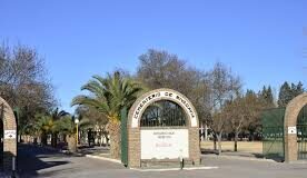 CRISTIAN RODRÍGUEZ ACLARÓ LA TALA DE ÁRBOLES Y EL ACUERDO SALARIAL EN EL CEMENTERIO NOÉ FERREYRA