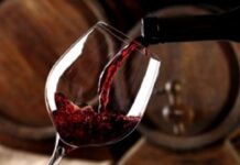 EL GOBIERNO DESREGULÓ EL INSTITUTO NACIONAL DE VITIVINICULTURA Y EL SECTOR HABLA DE UNA “TRANSFORMACIÓN HISTÓRICA”