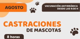 QUIRÓFANO MÓVIL LLEGA AL BARRIO LOS CAMPAMENTOS CON JORNADA DE CASTRACIÓN Y VACUNACIÓN