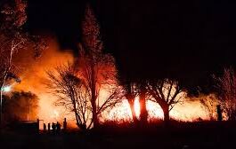 MÁS DE 150 HECTÁREAS SE INCENDIARON EN SANTA ROSA: PÉRDIDAS IMPORTANTES DE FLORA Y FAUNA