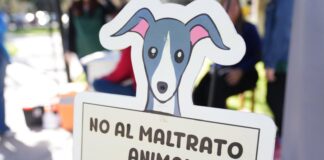 JUNÍN CELEBRÓ UNA NUEVA JORNADA DE VACUNACIÓN ANTIRRÁBICA