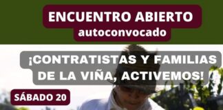 “CONTRATISTAS DE VIÑA SE AUTOCONVOCAN: ‘NO PODEMOS VIVIR CON UNA MENSUALIDAD TAN BAJA’”