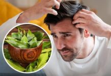 DE LOS CELOS DELIRANTES AL LAUREL MILAGROSO: LAS “NOTI RARAS” DE LA BRÚJULA NO DEJARON TEMA SIN TOCAR