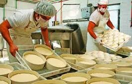 CRISIS: CERRARON MIL PYMES EN MENDOZA EN 18 MESES, ALERTA LA FEM