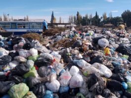 LA BASURA EN RIVADAVIA