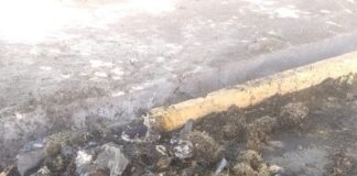 OTRO ACTO DE VANDALISMO CONTRA UN CONTENEDOR EN EL BARRIO SAN TELMO