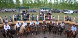 JUNÍN CELEBRÓ UNA NUEVA EDICIÓN TRADICIÓN ES VENDIMIA