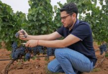 DESDE RIVADAVIA HASTA CHINA: EL SUEÑO DE UN ENÓLOGO QUE SE ANIMÓ A CRUZAR EL MUNDO PARA HACER VINO