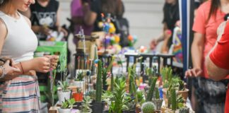 HOY VIERNES Y MAÑANA SÁBADO, FERIA DE LOS ARTESANOS DE SAN MARTÍN