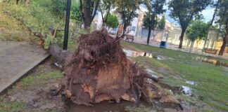 SAN MARTÍN RECOMIENDA EVITAR PARQUES Y ESPACIOS VERDES ANTE LA EMERGENCIA CLIMÁTICA