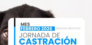 OPERATIVO DE CASTRACIÓN DE MASCOTAS EN PALMIRA