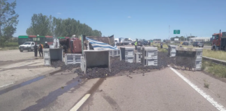 VOLCÓ UN CAMIÓN CON UVA EN RUTA 40 Y EL TRÁNSITO ESTUVO INTERRUMPIDO