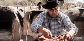 LAVALLE SE PREPARA PARA LA VENDIMIA 2026: ACTOS OFICIALES, NATURALEZA Y TRADICIÓN EN EL CORAZÓN DEL NORTE MENDOCINO