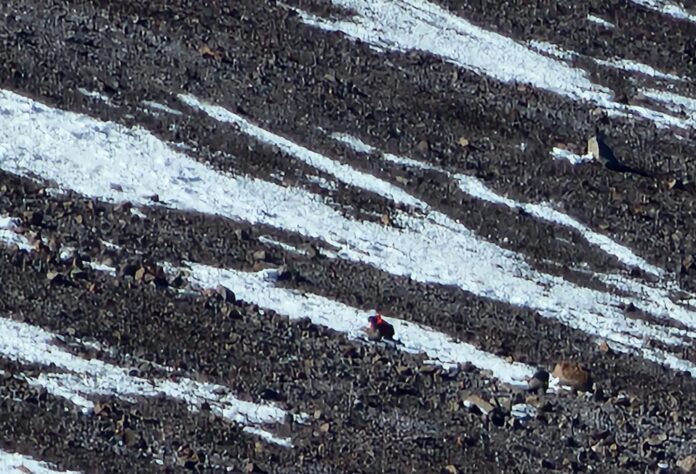 PORTADA-RESCATE-PARQUE-ACONCAGUA-e1771804117318